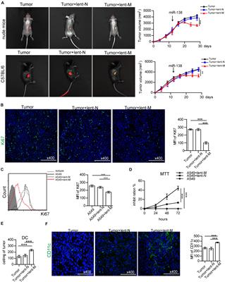 MicroRNA-138-5p Suppresses Non-small Cell Lung Cancer Cells by Targeting PD-L1/PD-1 to Regulate Tumor Microenvironment